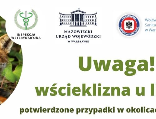 Uwaga! wścieklizna u lisów!